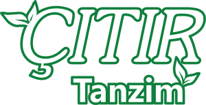Çıtır Tanzim